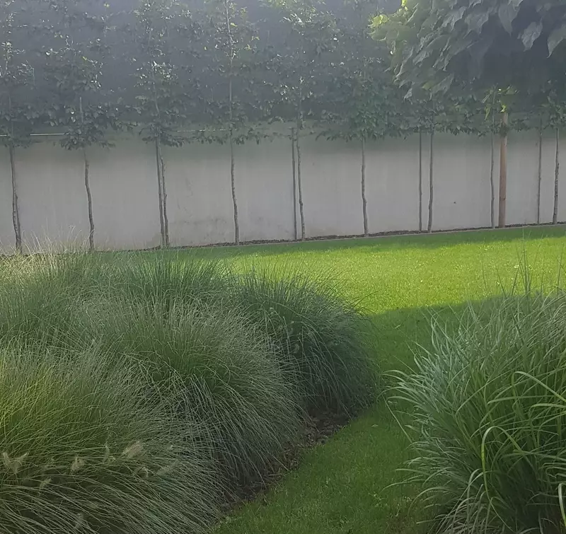 Veldeman Geert Tuinwerken