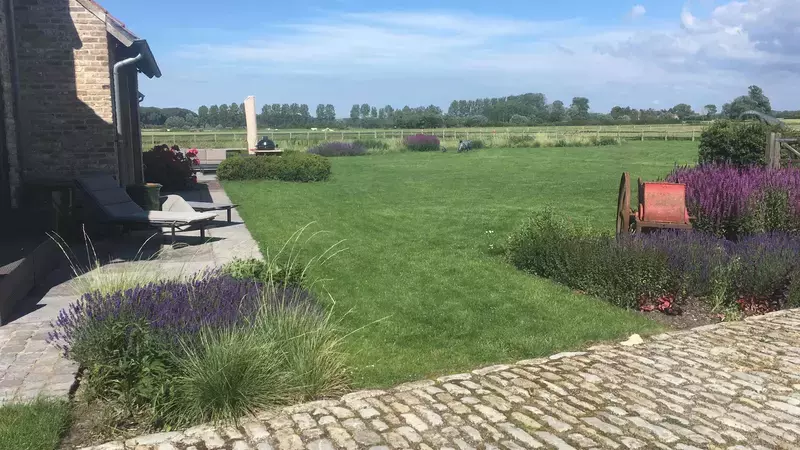 Verhaege Tuinaanleg & Onderhoud