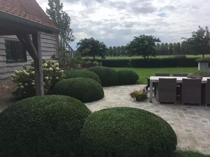 Verhaege Tuinaanleg & Onderhoud