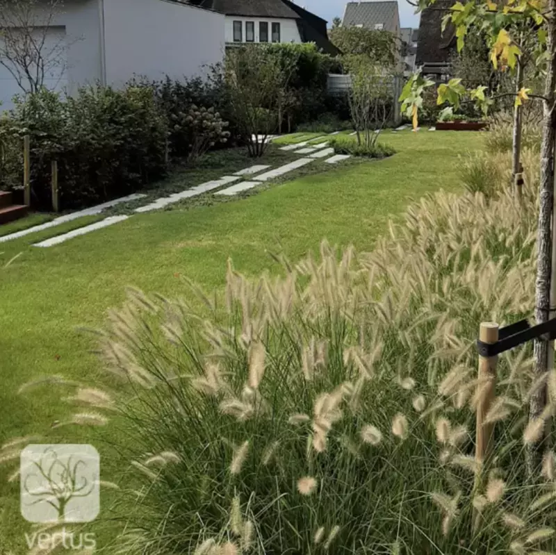 Vertus tuinarchitecten