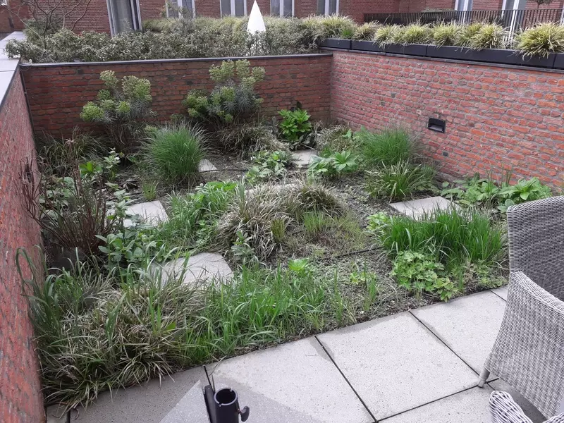 daktuin te Antwerpen