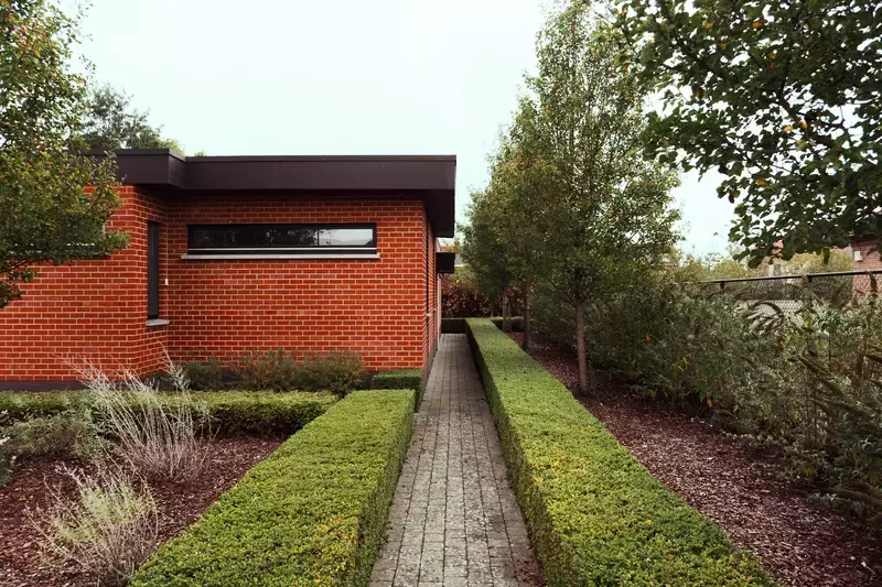 Strak geschoren buxus.