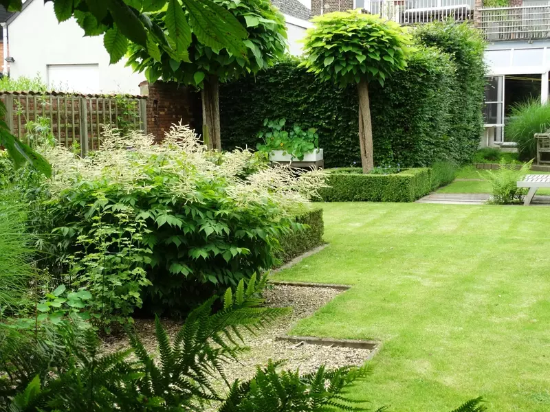 Strakke tuin met hagen en stadsbomen