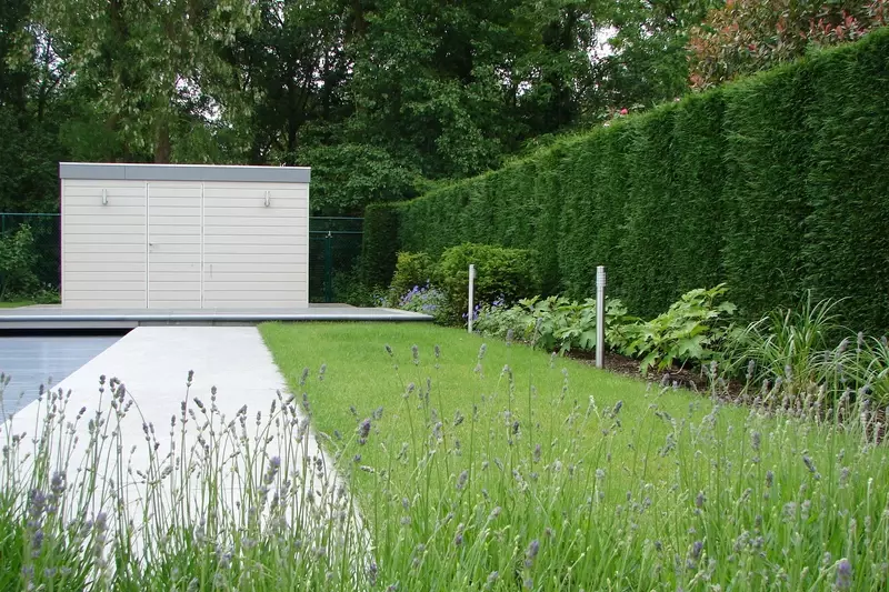 Strakke tuin met gazon en hagen