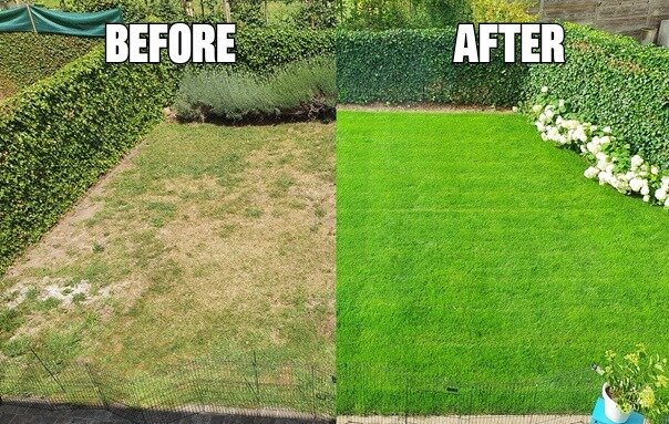 Voor en na foto van een tuin waar we de gazon vernieuwden.