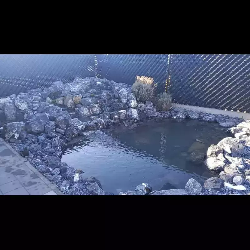 Vijver met waterval met natuurlijke steen