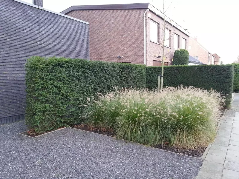 Voortuin met kiezelverharding, grassen en hagen