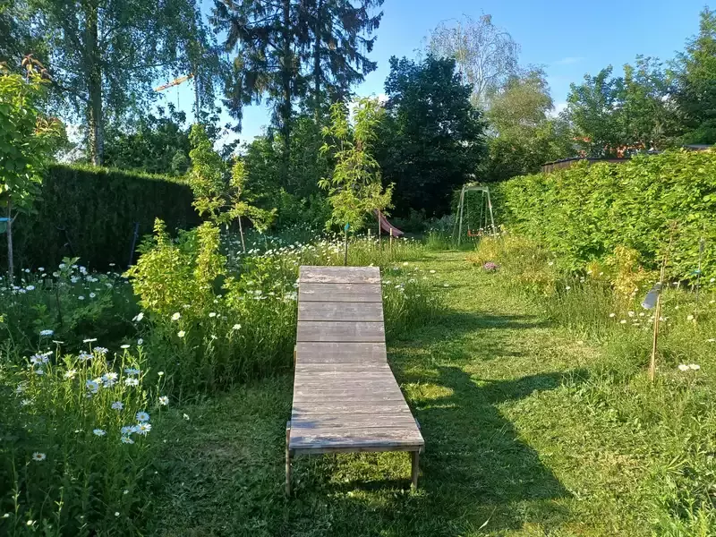 Fruitbomen en –struiken die elkaar bestuiven met vruchten van begin de zomer tot eind de herfst.