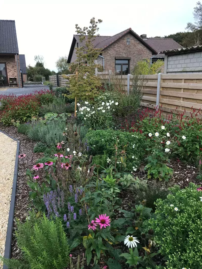 Levering plantgoed en aanplanting (bodemverbetering).
