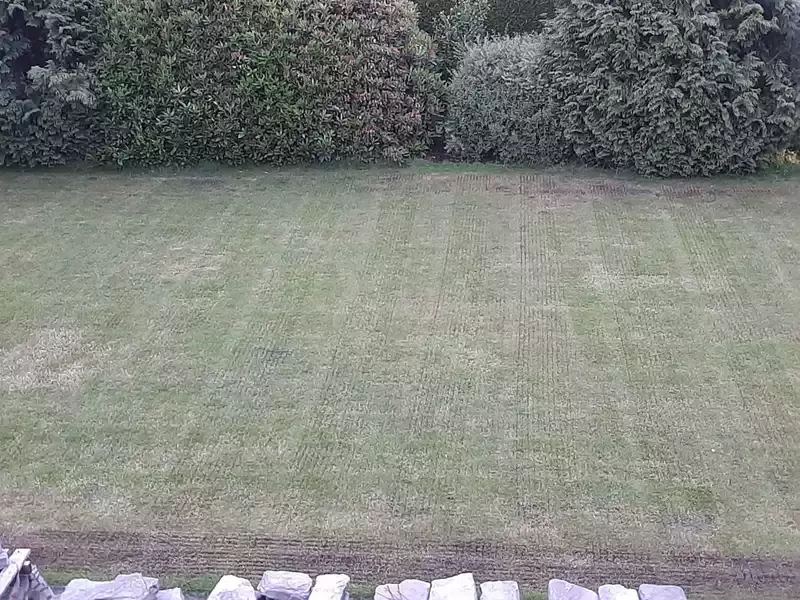 Onkruidbestrijding, verticuteren, doorzaaien en bemesten.