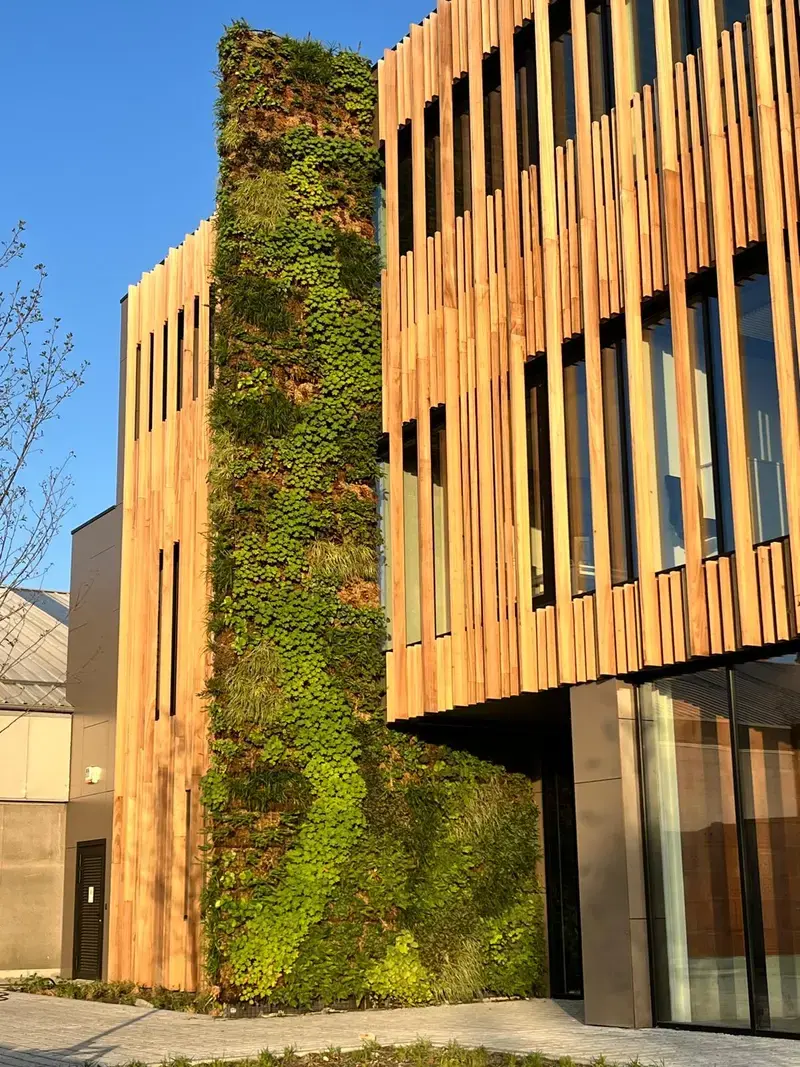 Groengevel living wall systeem