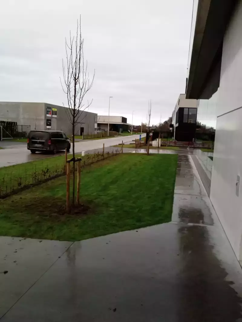 Aanplanten haagafsluiting en bomen