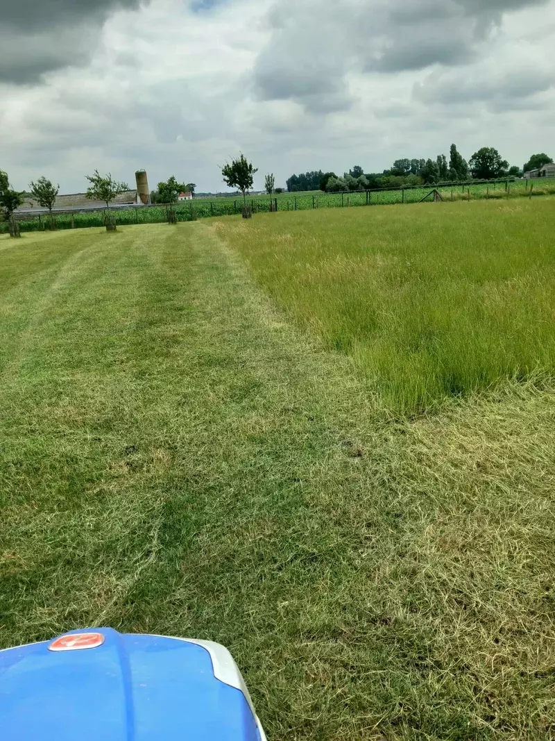 Klepelen met mini tractor