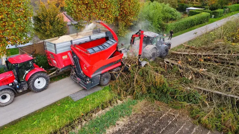 Verwijderen van 37 aangetaste sparren op de meest efficiënte manier