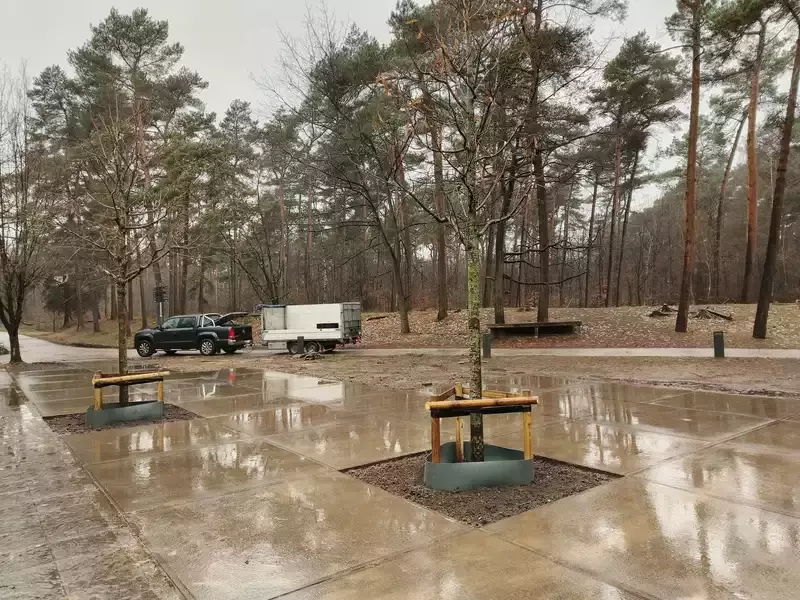 Aanplanten van enkele bomen van een redelijk formaat