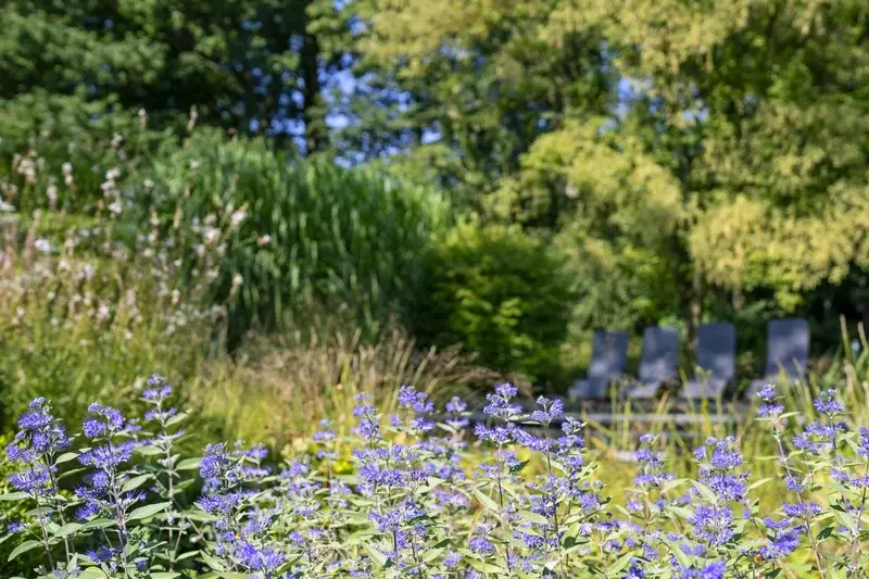 groenborder