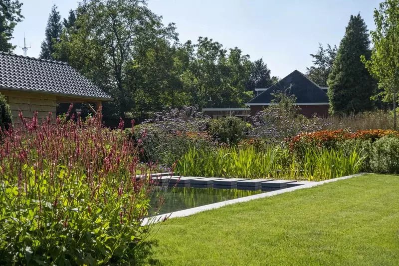 zwemvijver in natuurlijke omgeving