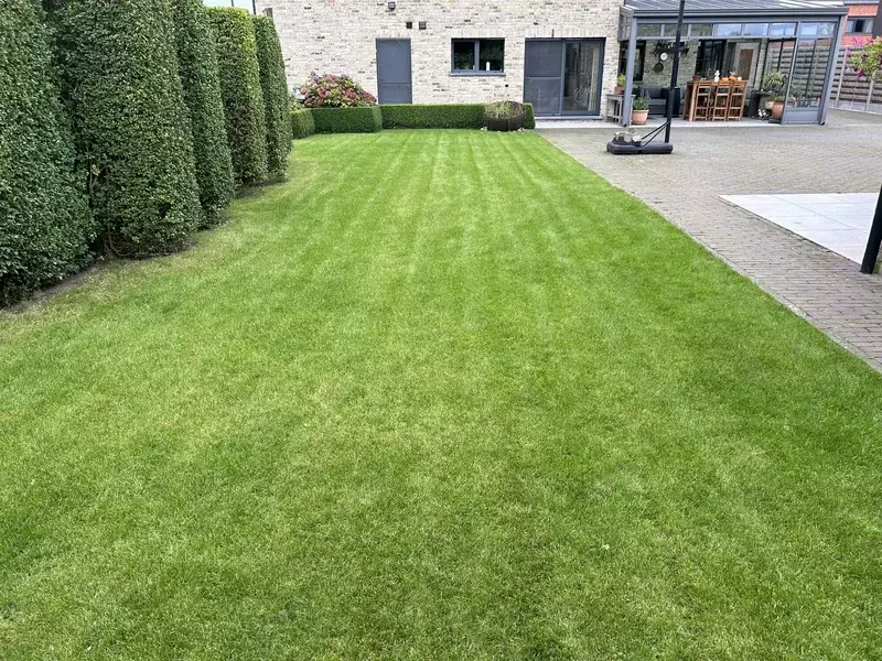 Aanleg van een nieuw gazon zonder gebruik te maken van grasmatten