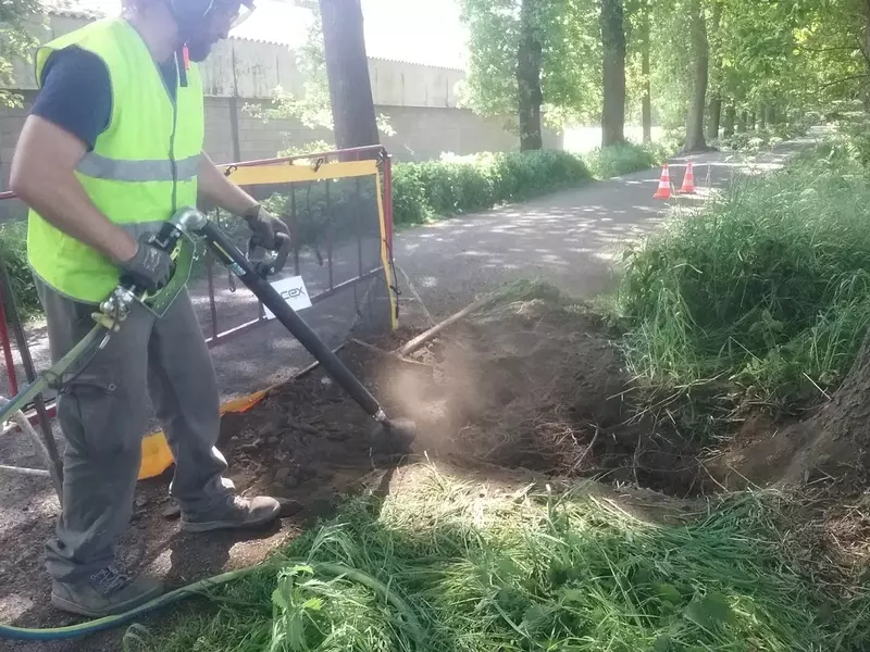 Wortelonderzoek en opstellen Bomen effecten analyse