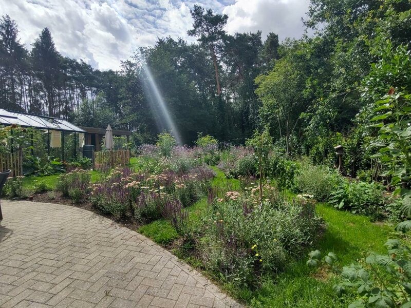 Renovatie tuin met heel wat vaste planten (ontwerp door EN-ontwerp)