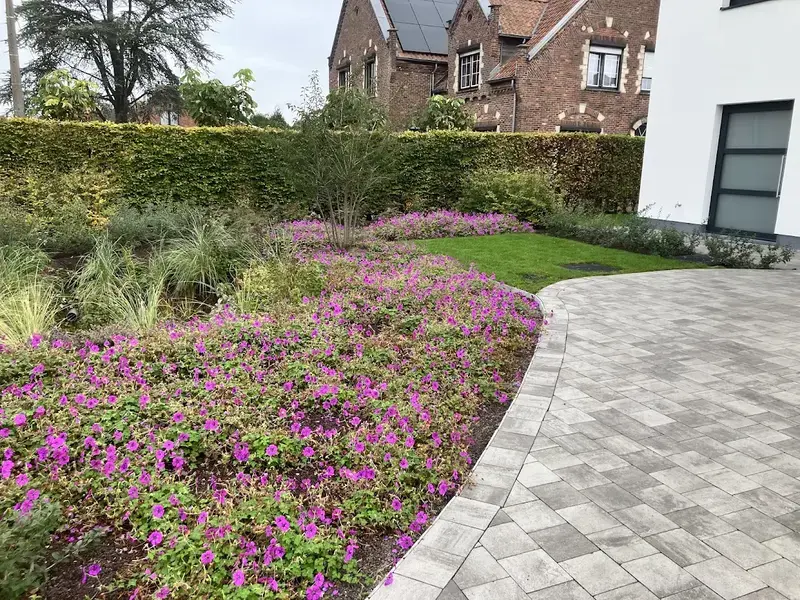 Aanleg oprit met betonklinkers en aanplant borders