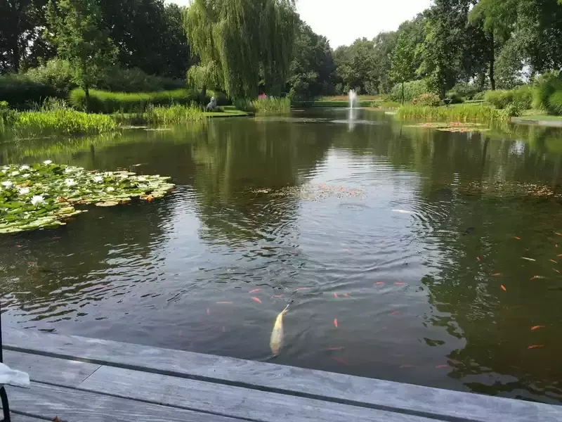 aanleg vijver en ponton