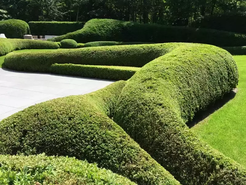 moderne tuin
