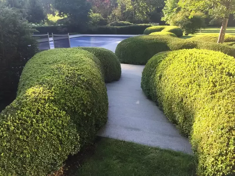 hedendaagse tuin