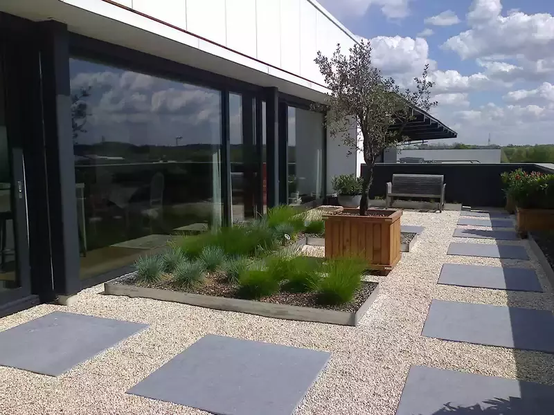 Terras- daktuin