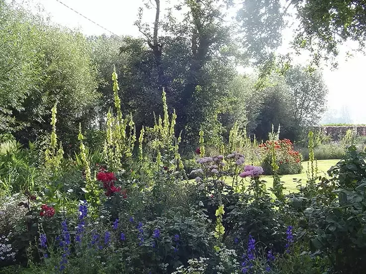 Landelijke bloementuin
