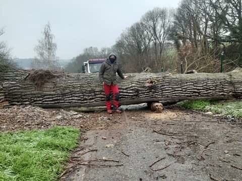 Een omgevallen boom op een site van de Belgian Pipeline Organisation verzagen om het terrein opnieuw toegankelijk te maken.