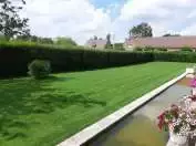 Tuin renovatie
