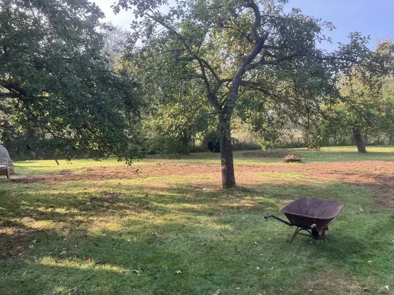 Aanleg kruidenrijk grasland
