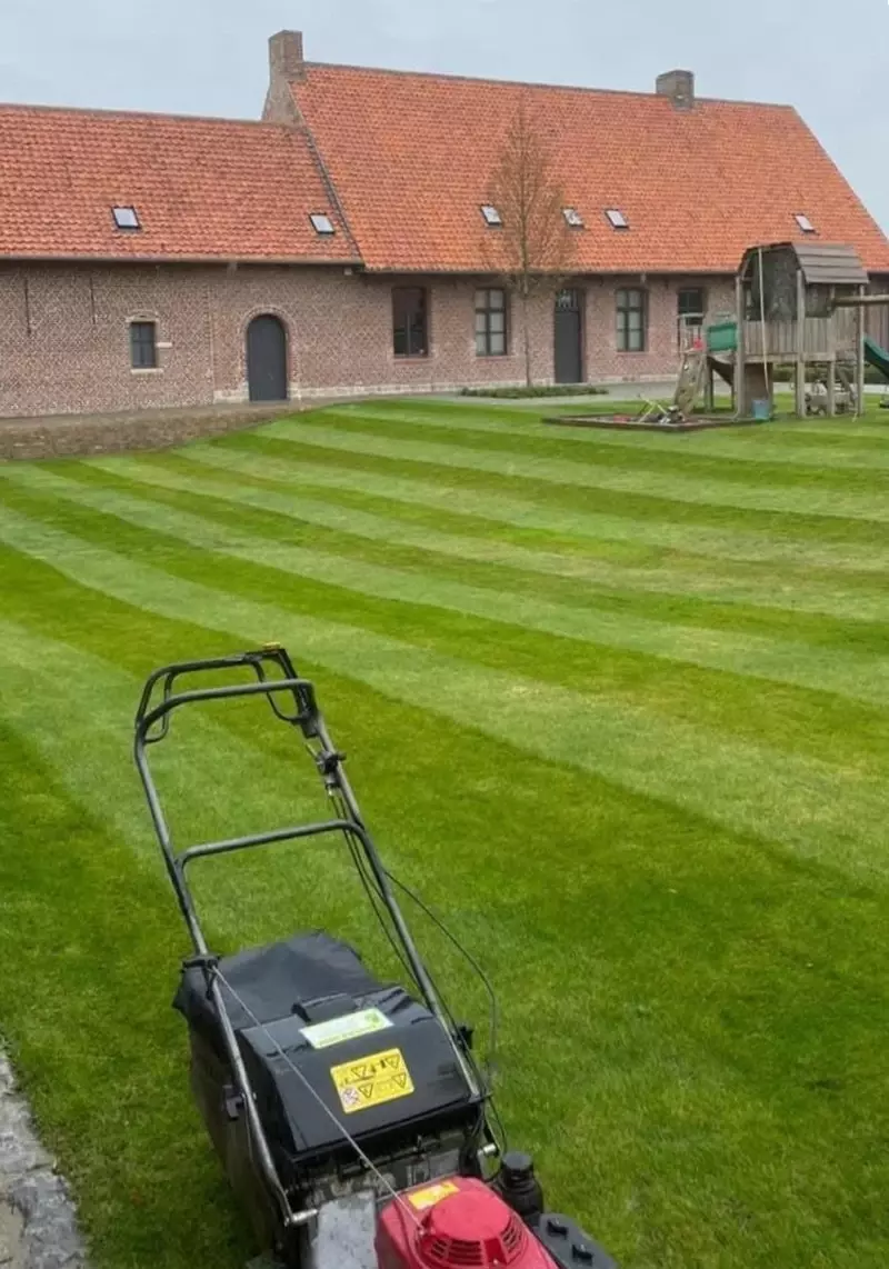 Maaien en zaaien van gras: tuinonderhoud 