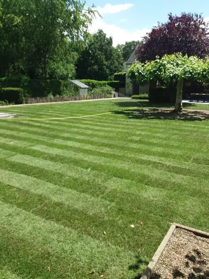 Grasmatten