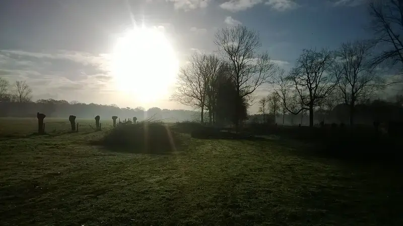 Snoeiwerken op het terrein