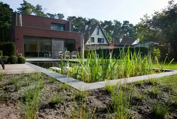 zwemvijver in ecologische tuin