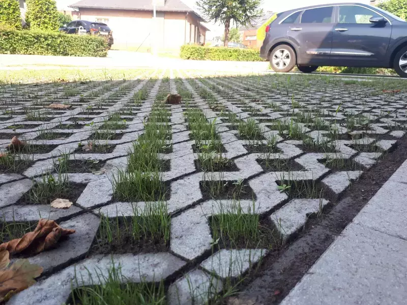 Waterdoorlatende verharding net ingezaaid met gras