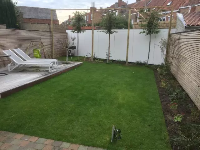 Aanleg tuin met grasmatten,steeneiken en beplanting