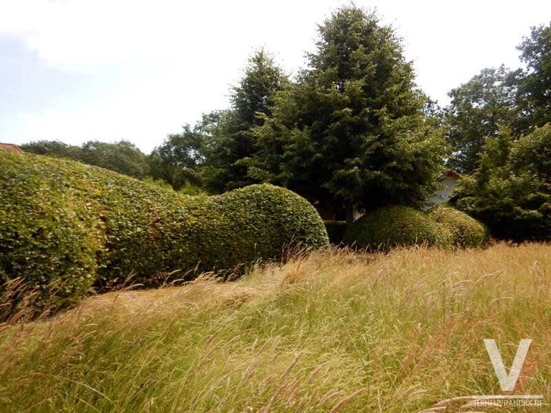 landelijke tuin, contrast tussen hoog weidelan en strakgeschoren haagmassieven van beuk