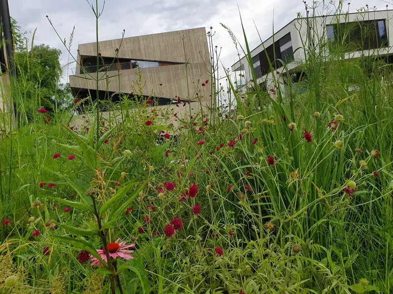Ook de aanleg van grote projecten verzorgen wij met een eigen machinepark