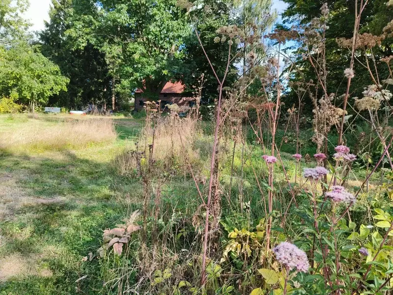 Ruigte in september