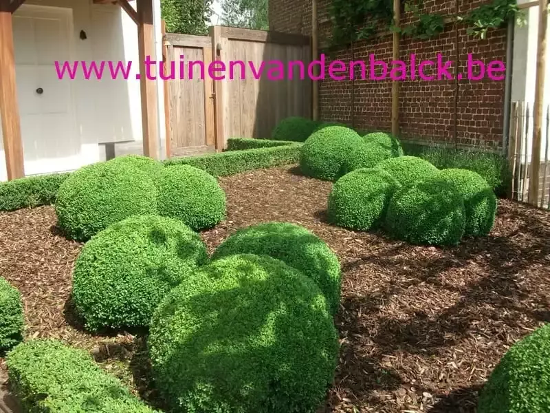 Beplantingen