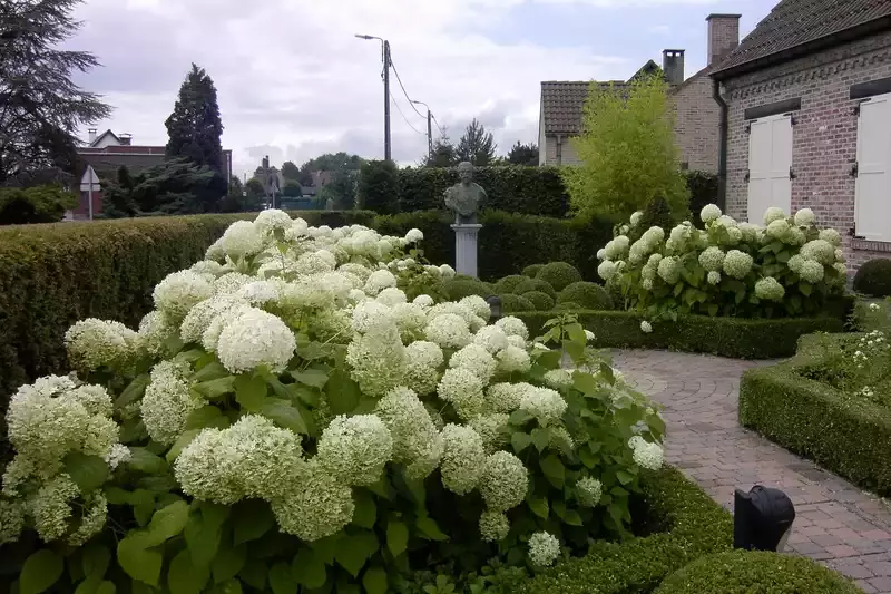 Voortuin