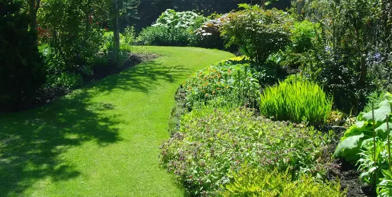 Plantensnoei & planten onderhoud