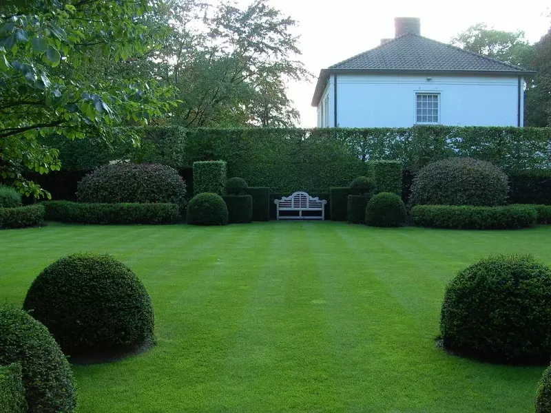 Vormsnoei tuin te Kapellen