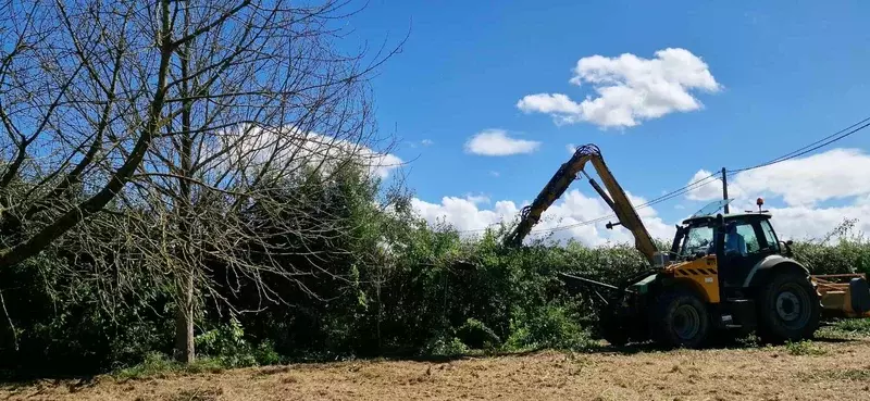 Verwilderde haag met tractor en haagschaar op arm terug in vorm zetten