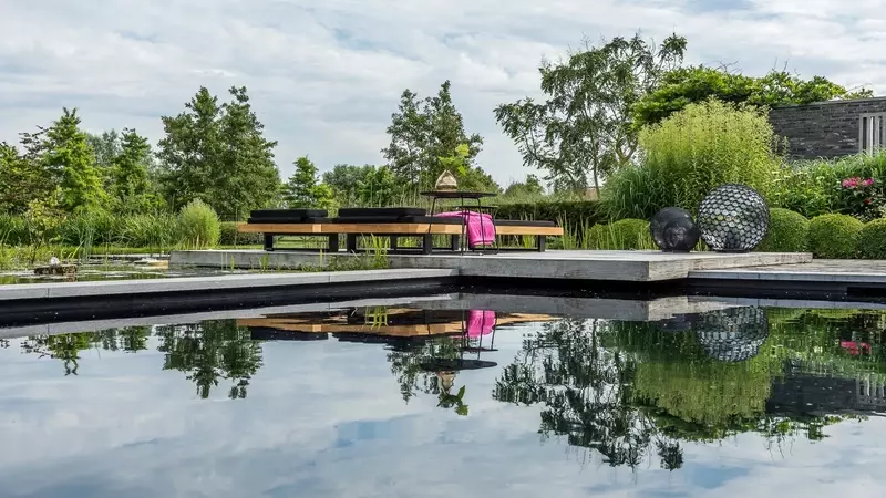 natuurlijke zwemvijver