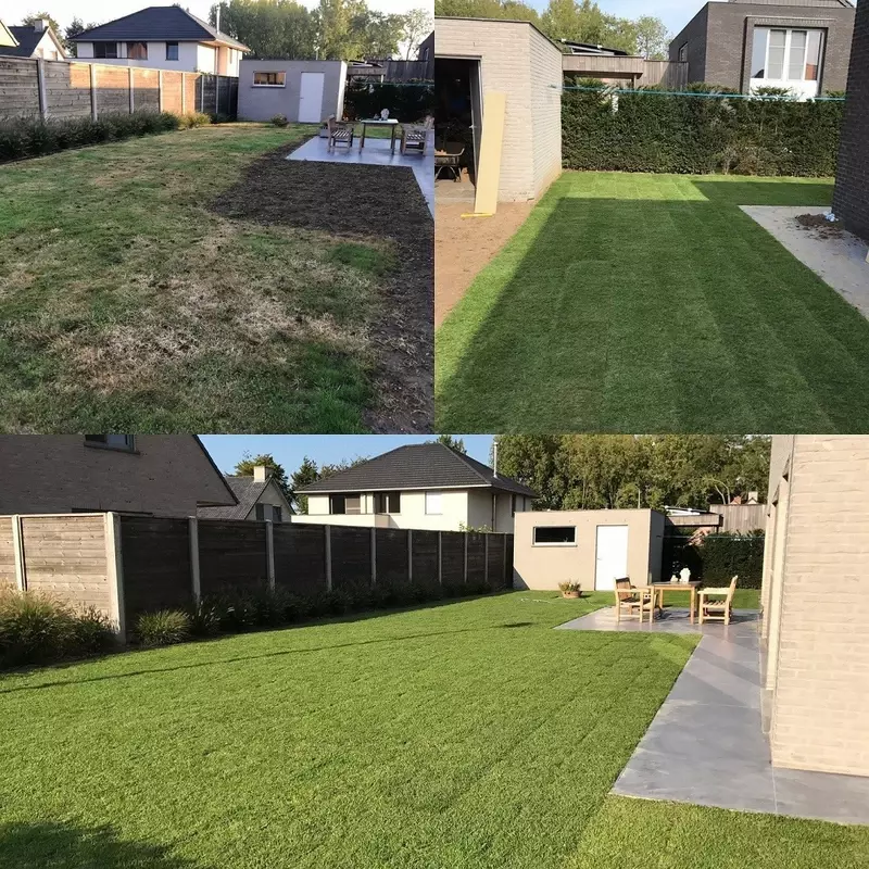Aanleg gazon met graszoden