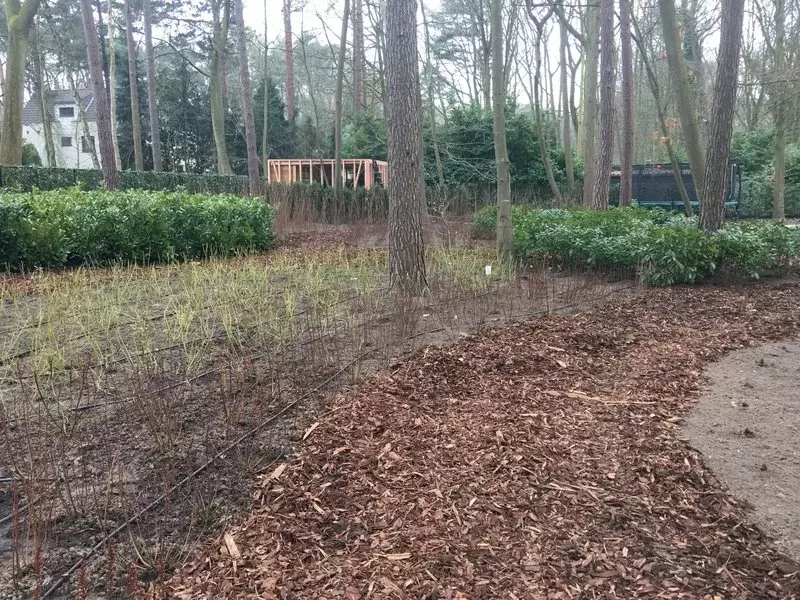 Aanleg bostuin
